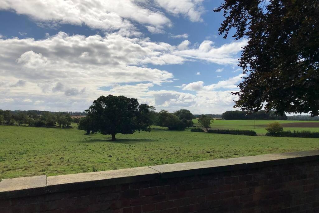 Hall Cottage, Wighill Near York And Leeds 塔德卡斯特 外观 照片